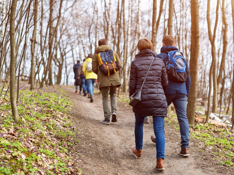 Litterære vandringer