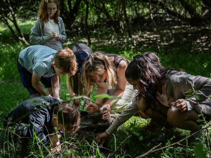 Børn der kigger ned i skovbunden.
